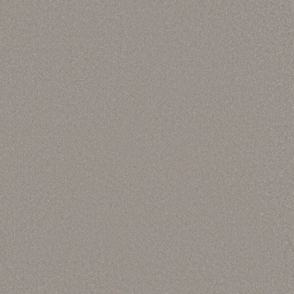 Shaw Floors Carpet Awaken Spirit I Subtle Touch 00118_5E690