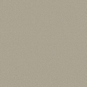Shaw Floors Carpet Awaken Spirit I Whiskers 00161_5E690