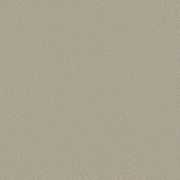 Shaw Floors Carpet Awaken Spirit I Whiskers 00161_5E690