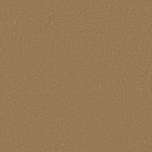 Shaw Floors Carpet Awaken Spirit I Warm Brass 00225_5E690