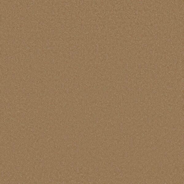 Shaw Floors Carpet Awaken Spirit I Warm Brass 00225_5E690