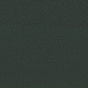 Shaw Floors Carpet Awaken Spirit I Blue Spruce 00307_5E690