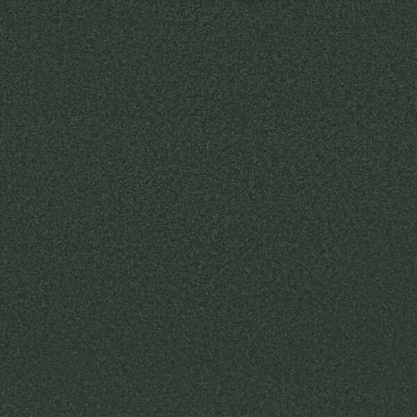 Shaw Floors Carpet Awaken Spirit I Blue Spruce 00307_5E690