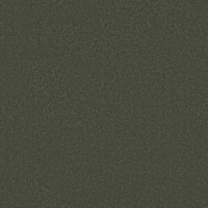 Shaw Floors Carpet Awaken Spirit I Olive Tree 00310_5E690