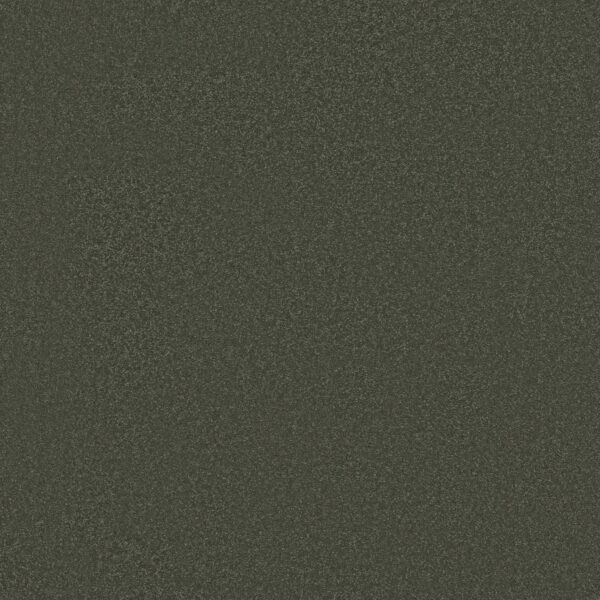Shaw Floors Carpet Awaken Spirit I Olive Tree 00310_5E690