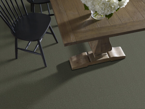 Shaw Floors Carpet Awaken Spirit I Olive Tree 00310_5E690 - Image 2