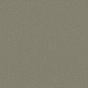 Shaw Floors Carpet Awaken Spirit I Silver Sage 00360_5E690