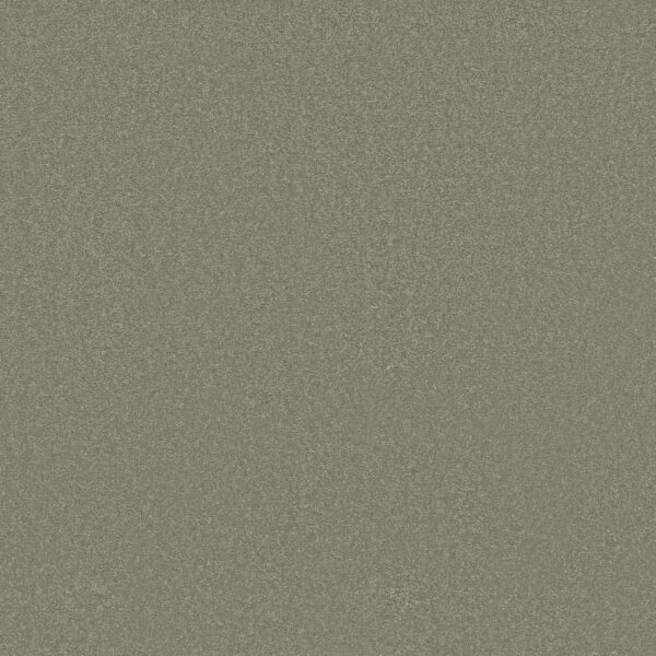 Shaw Floors Carpet Awaken Spirit I Silver Sage 00360_5E690