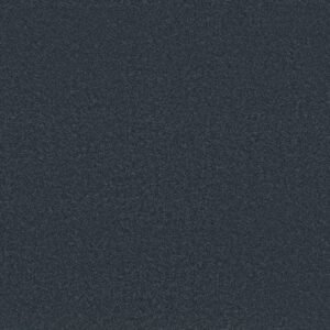 Shaw Floors Carpet Awaken Spirit I Midnight Sky 00407_5E690