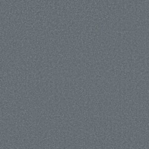 Shaw Floors Carpet Awaken Spirit I Steel Blue 00410_5E690