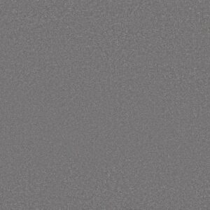 Shaw Floors Carpet Awaken Spirit I Magnetic 00511_5E690