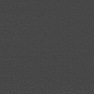 Shaw Floors Carpet Awaken Spirit I Darkroom 00512_5E690