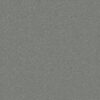 Shaw Floors Carpet Awaken Spirit I Secret Escape 00561_5E690