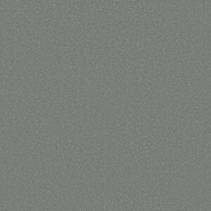 Shaw Floors Carpet Awaken Spirit I Secret Escape 00561_5E690