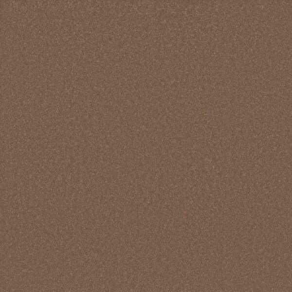 Shaw Floors Carpet Awaken Spirit I Copperglaze 00701_5E690