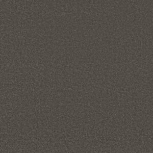 Shaw Floors Carpet Awaken Spirit I Rocky Slope 00711_5E690