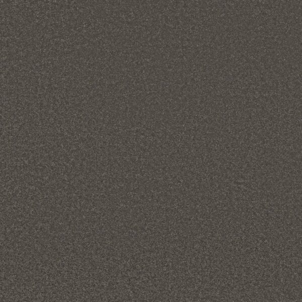 Shaw Floors Carpet Awaken Spirit I Rocky Slope 00711_5E690