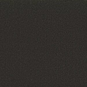 Shaw Floors Carpet Awaken Spirit I Silhouette 00712_5E690