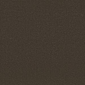 Shaw Floors Carpet Awaken Spirit I Wood Grain 00721_5E690