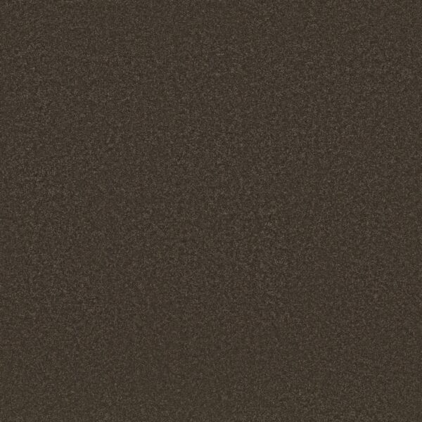 Shaw Floors Carpet Awaken Spirit I Wood Grain 00721_5E690
