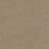Shaw Floors Carpet Awaken Spirit II 12' Fresco 00109_5E691