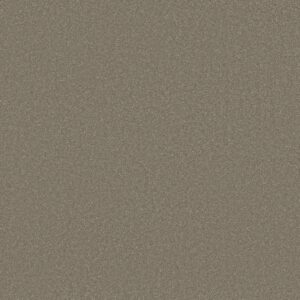 Shaw Floors Carpet Awaken Spirit II 12' Bungalow 00110_5E691