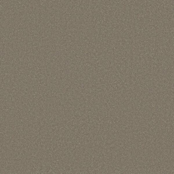 Shaw Floors Carpet Awaken Spirit II 12' Bungalow 00110_5E691