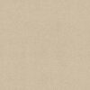 Shaw Floors Carpet Awaken Spirit II 12' Cottage 00111_5E691