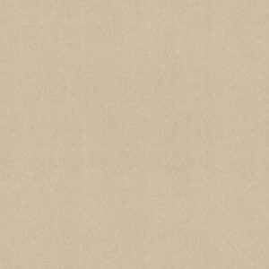Shaw Floors Carpet Awaken Spirit II 12' Cottage 00111_5E691