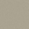 Shaw Floors Carpet Awaken Spirit II 12' Whiskers 00161_5E691