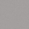Shaw Floors Carpet Awaken Spirit II 12' Gentle Rain 00510_5E691