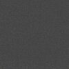 Shaw Floors Carpet Awaken Spirit II 12' Darkroom 00512_5E691
