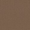 Shaw Floors Carpet Awaken Spirit II 12' Copperglaze 00701_5E691