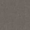 Shaw Floors Carpet Awaken Spirit II 12' Taupetone 00710_5E691