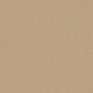 Shaw Floors Carpet Awaken Spirit II 15' Sugar Cookie 00105_5E692