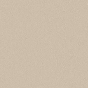 Shaw Floors Carpet Awaken Spirit II 15' Cottage 00111_5E692