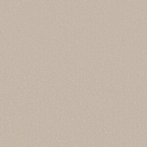 Shaw Floors Carpet Awaken Spirit II 15' Spun Wool 00112_5E692