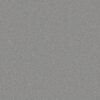 Shaw Floors Carpet Awaken Spirit II 15' Luna 00501_5E692
