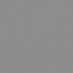 Shaw Floors Carpet Awaken Spirit II 15' Luna 00501_5E692