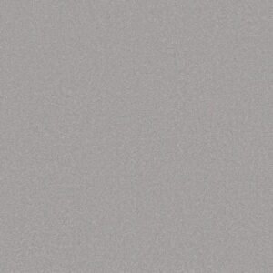 Shaw Floors Carpet Awaken Spirit II 15' Gentle Rain 00510_5E692