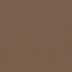 Shaw Floors Carpet Awaken Spirit II 15' Copperglaze 00701_5E692
