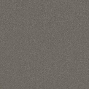 Shaw Floors Carpet Awaken Spirit II 15' Taupetone 00710_5E692