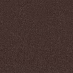 Shaw Floors Carpet Awaken Spirit II 15' Midsummer Night 00909_5E692