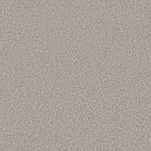 Shaw Floors Carpet Feelin' Alright Buff 00120_5E741