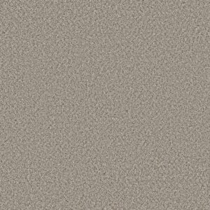 Shaw Floors Carpet Feelin' Alright Almond 00121_5E741