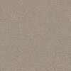 Shaw Floors Carpet Feelin' Alright Flax 00122_5E741