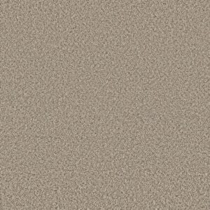 Shaw Floors Carpet Feelin' Alright Flax 00122_5E741