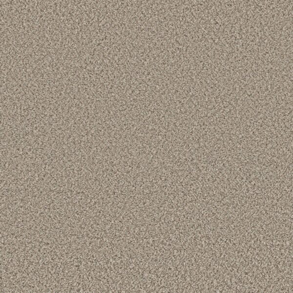 Shaw Floors Carpet Feelin' Alright Flax 00122_5E741