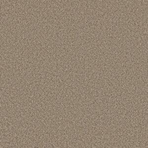 Shaw Floors Carpet Feelin' Alright Blond Wood 00123_5E741
