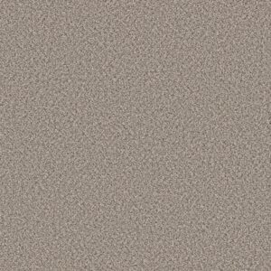 Shaw Floors Carpet Feelin' Alright Stepping Stone 00133_5E741